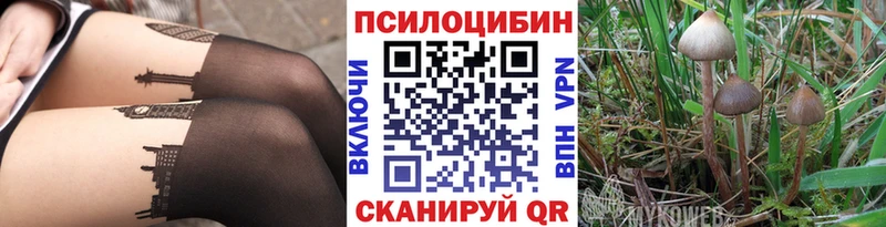 Купить где Губкин Псилоцибиновые грибы мухоморы